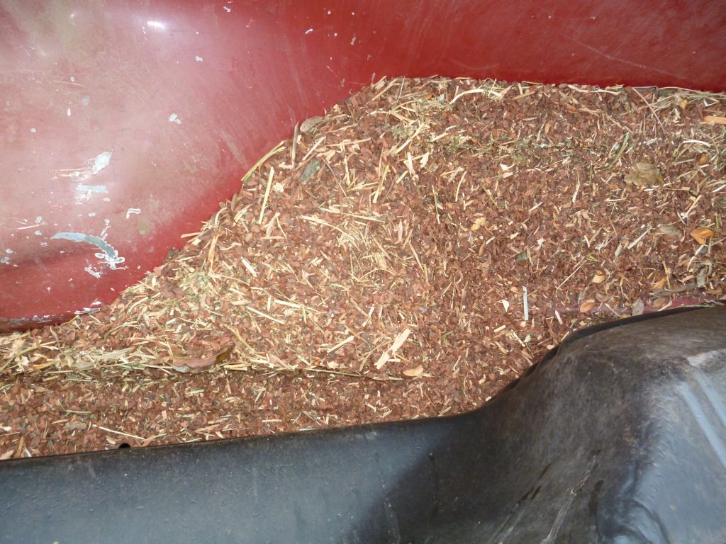 Plastic bed liners are a bad idea! Ford Truck Enthusiasts Forums